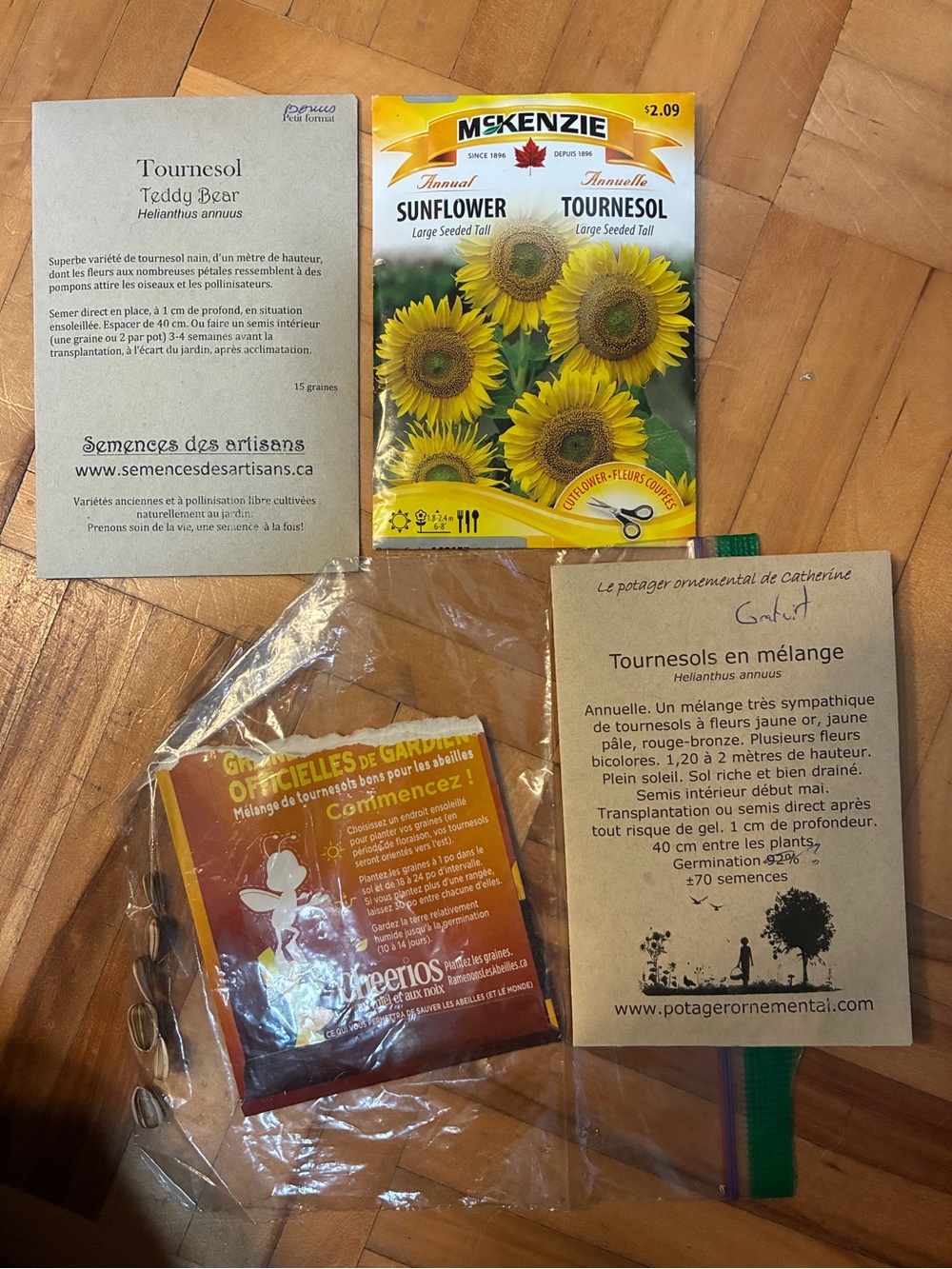 McKenzie Sunflower Seed Packet - Bright Yellow Sunflowers